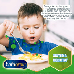 Enfagrow Premium Etapa 4 Sabor Vainilla, Bolsa de 550 grs.