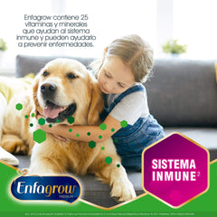Enfagrow Premium Etapa 4 Sabor Vainilla, Bolsa de 550 grs.
