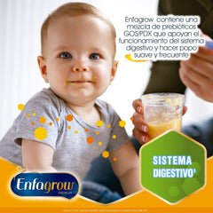 Enfagrow Premium Etapa 3, Pack de 6,6 Kgs